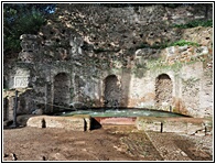 Palatino