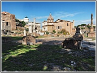 Roman Forum