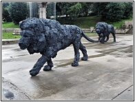 Bronze Lions