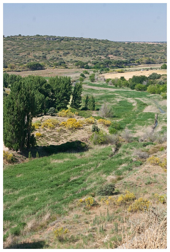 El Guadiana