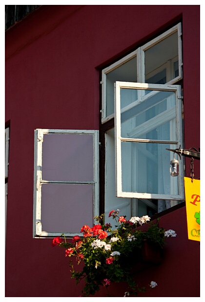 White Windows