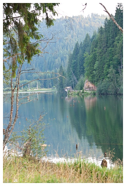 Red Lake
