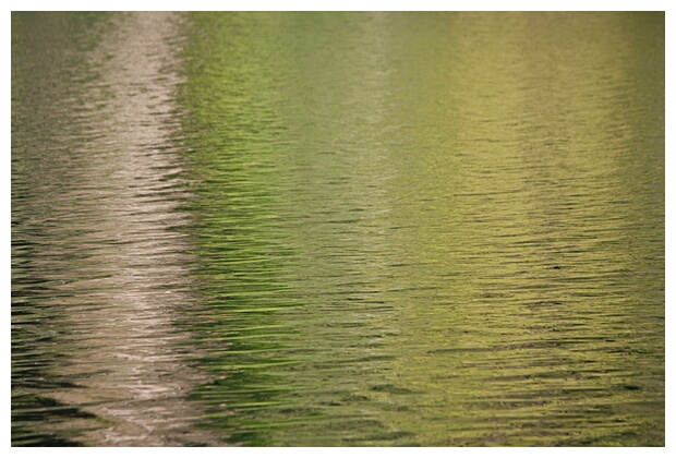 Coloured Waters