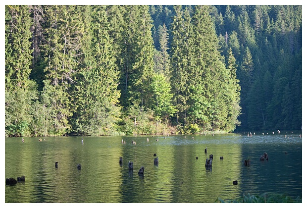 Red Lake Landscape