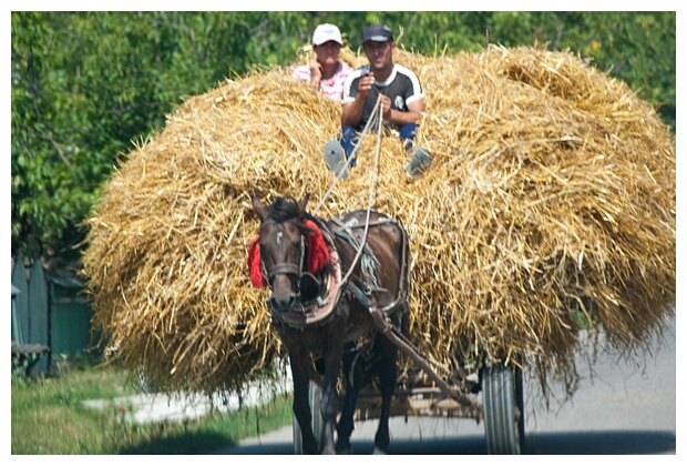 Horse-Drawn Cart
