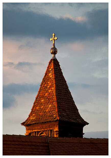 The Asylum Church