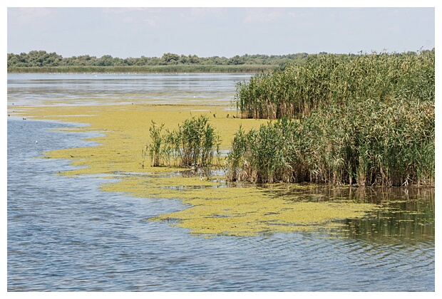 Nebunu Lake