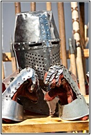 Bright Armour