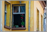 Yellow House