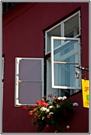 White Windows