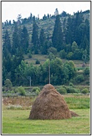 Moldavian Landscape