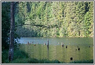 Red Lake