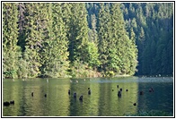 Red Lake Landscape