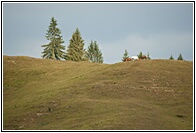 Rural Paradise