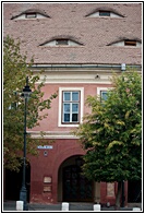 Eyelid Windows
