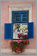 Pastel Painted