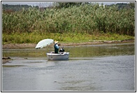 Sport Fishing