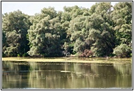 The Danube Delta