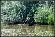 Fisherman 