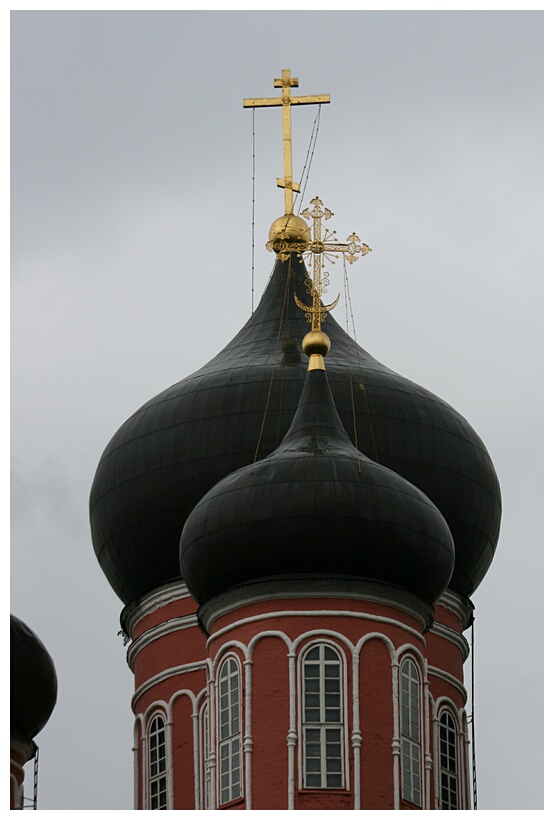 Donskoy Domes