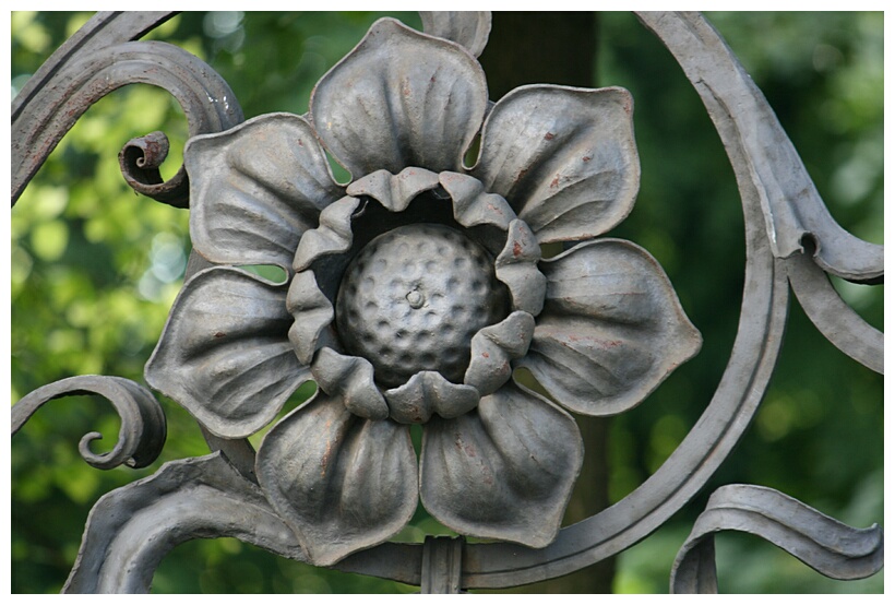 Iron Flower
