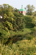 Dome Between Trees
