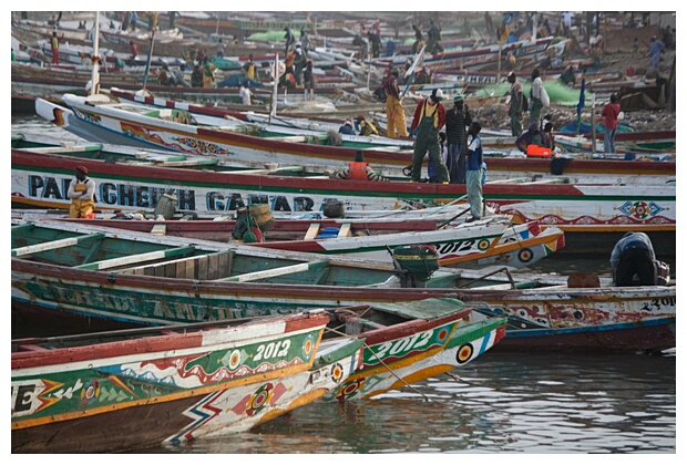 Fishing Activity