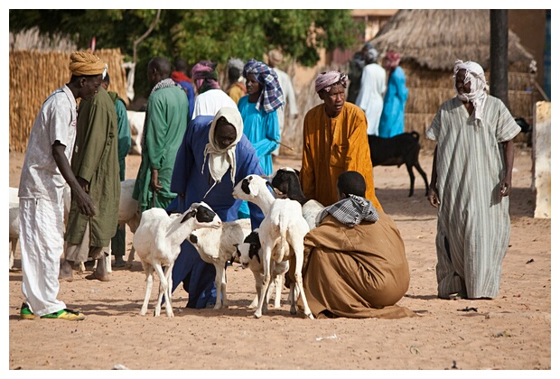 Fulani Ethnic