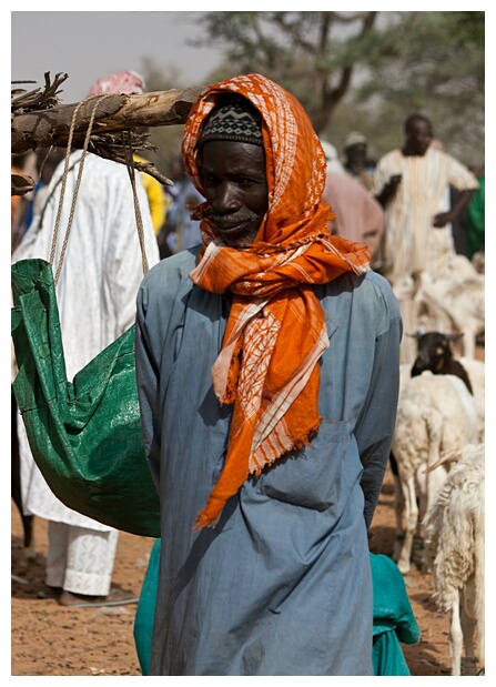 Old Shepherd