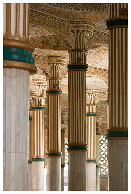 Columns Forest