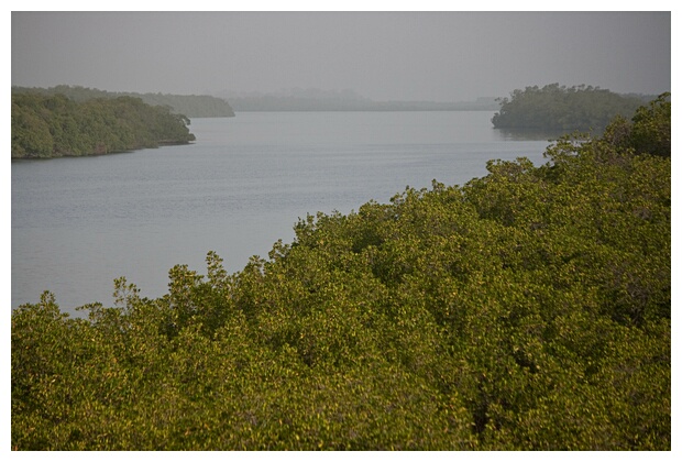Sin-Saloum Delta
