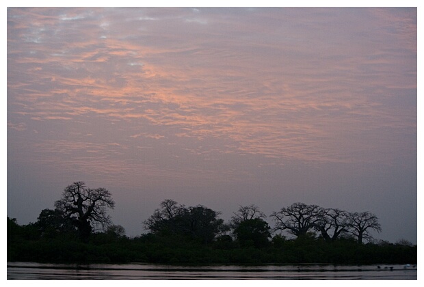 Saloum River at Sunset
