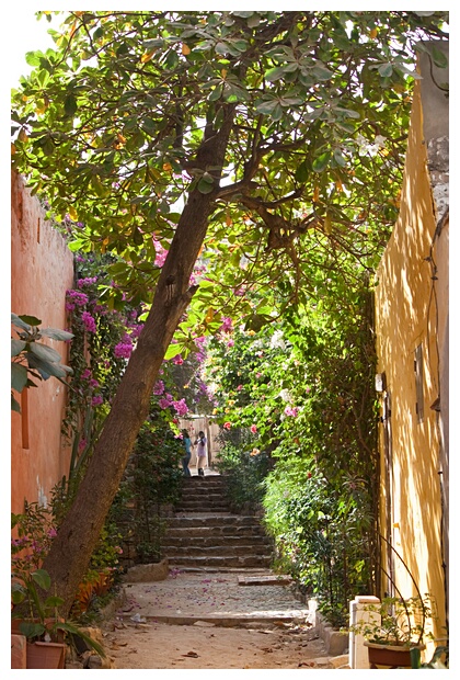 Flowery Street