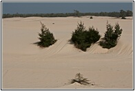 Sand Dunes