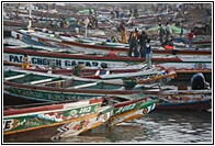 Fishing Activity