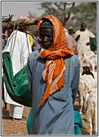 Old Shepherd