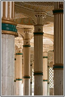 Columns Forest