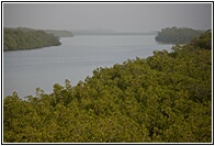 Sin-Saloum Delta