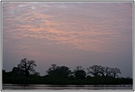 Saloum River at Sunset