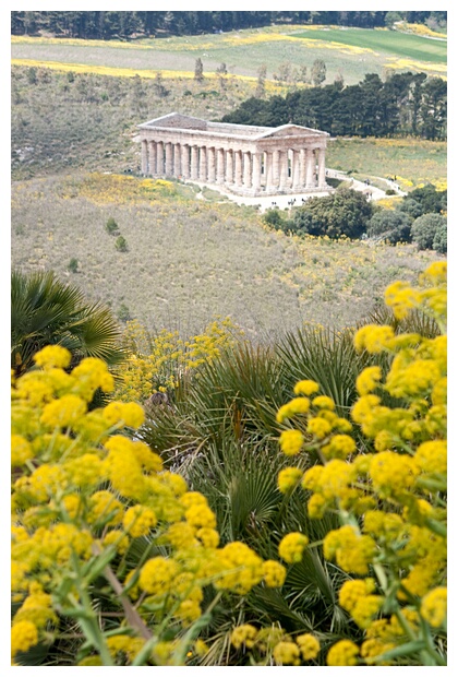 Templo entre Flores