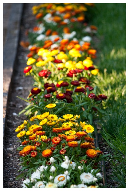 Giardino Pubblico