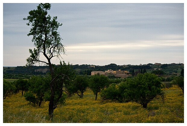 Paisaje Siciliano