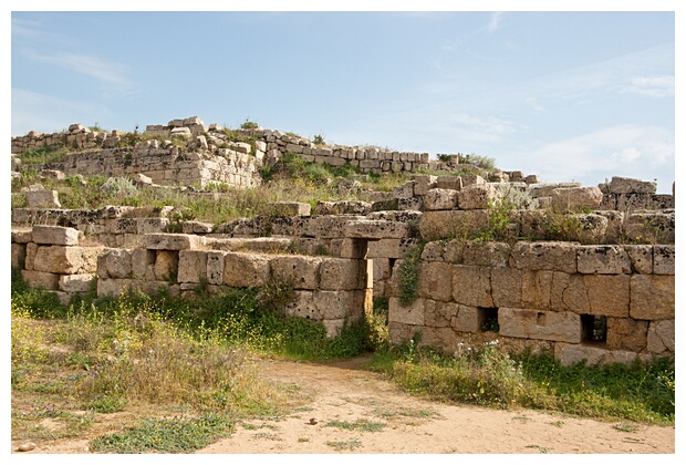 Puertas y Muros
