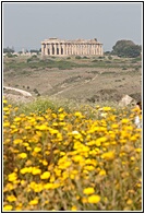 Selinunte