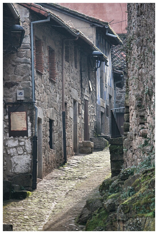 Calle 