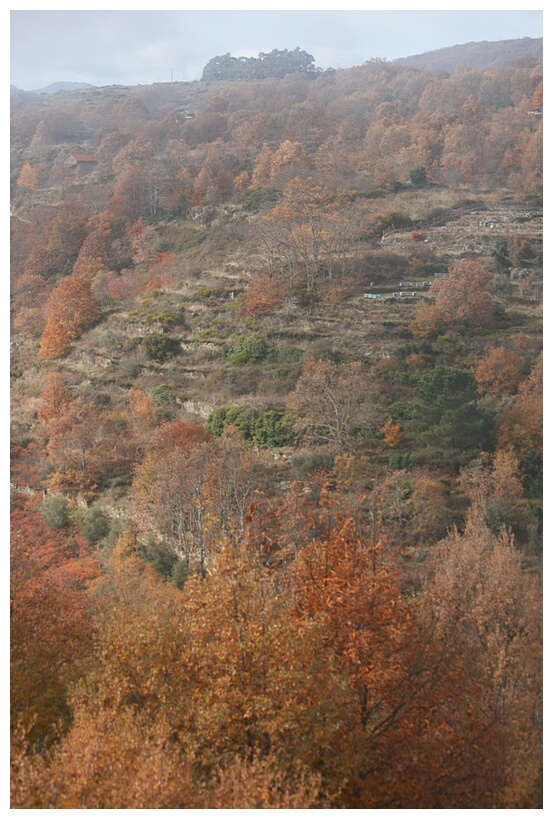Paisaje Serrano