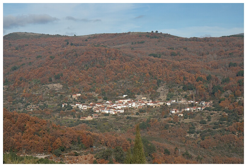 Mogarraz