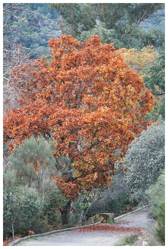 Valle de las Batuecas