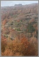 Paisaje Serrano