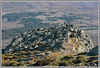 Pea de Francia